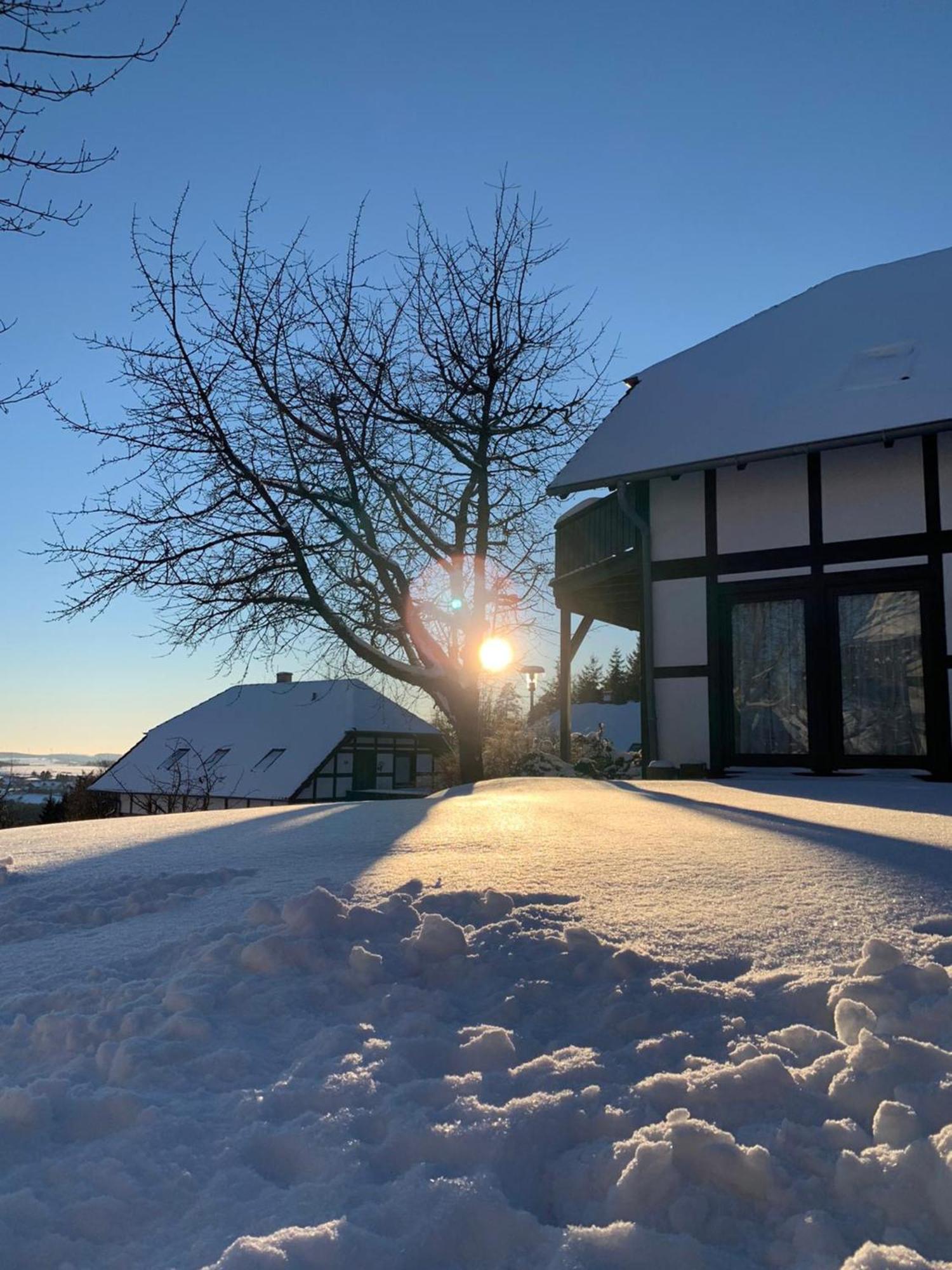 Ferienwohnung Mimo Direkt Am Waldrand Frankenau Exterior foto